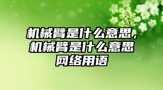 機械臂是什么意思，機械臂是什么意思網絡用語