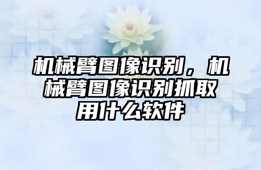 機械臂圖像識別，機械臂圖像識別抓取用什么軟件