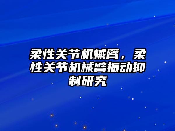 柔性關節機械臂，柔性關節機械臂振動抑制研究