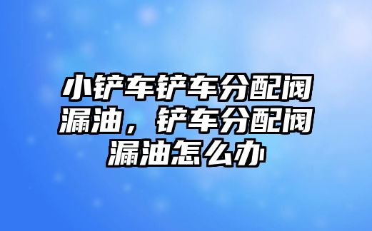 小鏟車鏟車分配閥漏油，鏟車分配閥漏油怎么辦