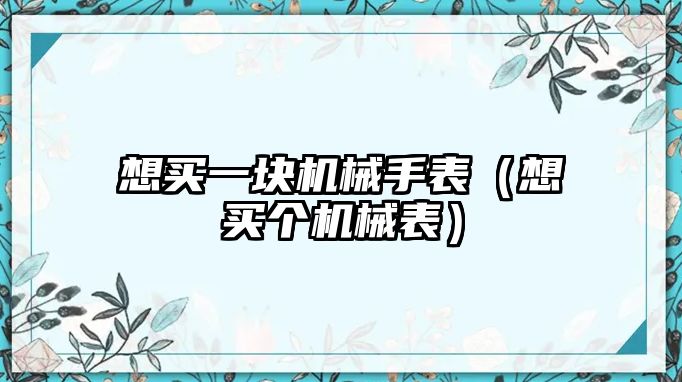 想買一塊機械手表（想買個機械表）