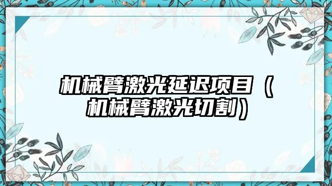 機械臂激光延遲項目（機械臂激光切割）