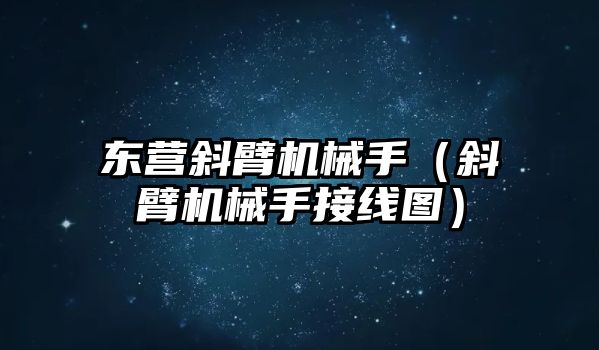 東營斜臂機械手（斜臂機械手接線圖）