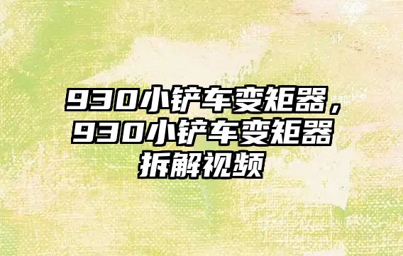 930小鏟車變矩器，930小鏟車變矩器拆解視頻