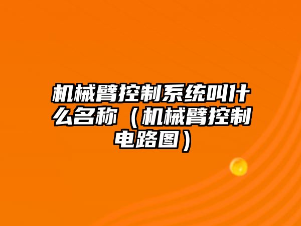 機械臂控制系統叫什么名稱（機械臂控制電路圖）