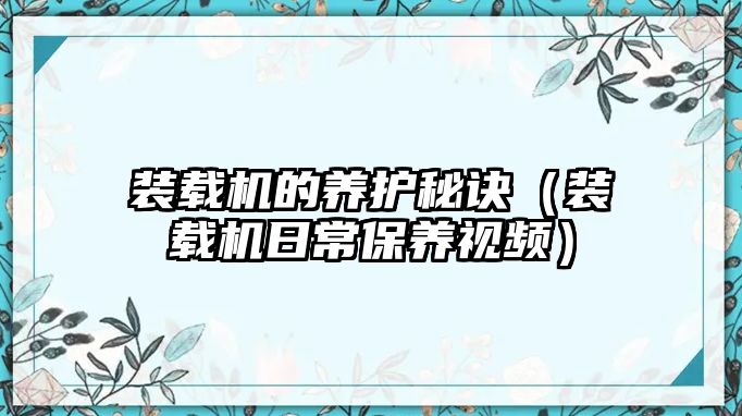 裝載機的養護秘訣（裝載機日常保養視頻）