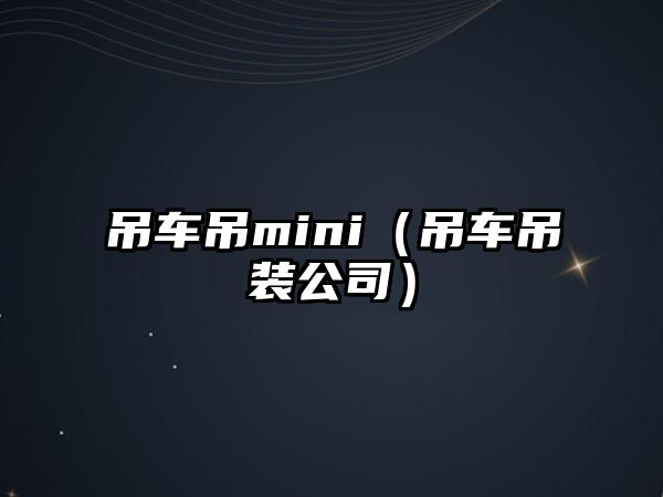 吊車吊mini（吊車吊裝公司）