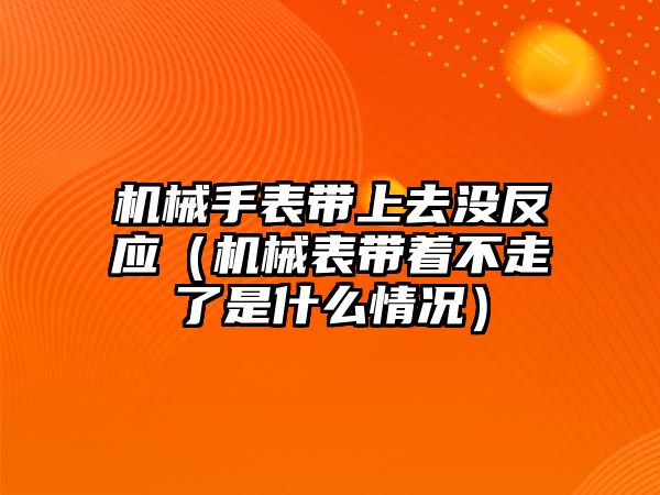 機械手表帶上去沒反應（機械表帶著不走了是什么情況）