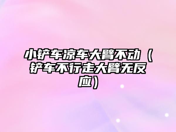 小鏟車涼車大臂不動（鏟車不行走大臂無反應）