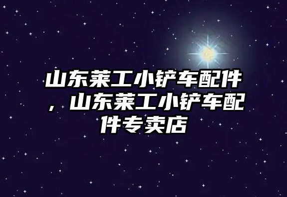 山東萊工小鏟車配件，山東萊工小鏟車配件專賣店