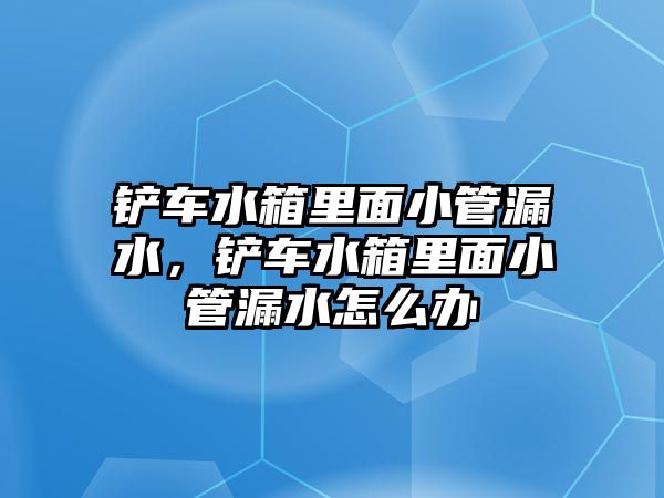 鏟車水箱里面小管漏水，鏟車水箱里面小管漏水怎么辦