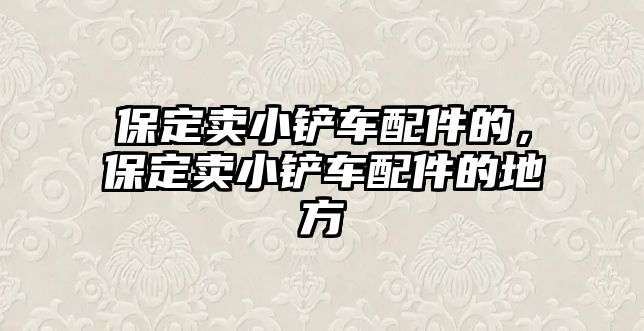 保定賣小鏟車配件的，保定賣小鏟車配件的地方