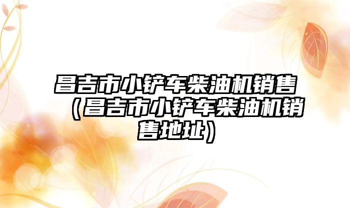 昌吉市小鏟車柴油機銷售（昌吉市小鏟車柴油機銷售地址）