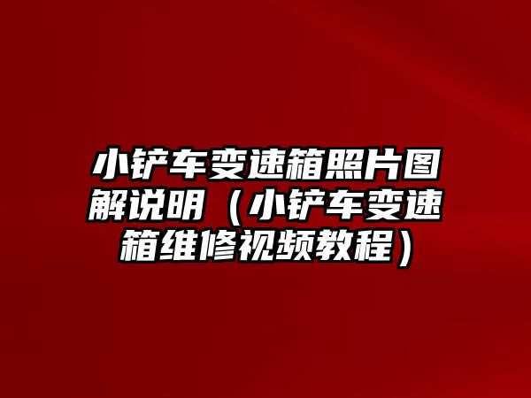 小鏟車變速箱照片圖解說明（小鏟車變速箱維修視頻教程）