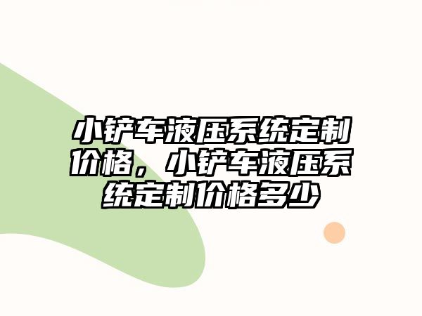 小鏟車液壓系統定制價格，小鏟車液壓系統定制價格多少