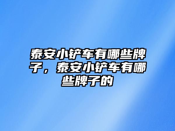 泰安小鏟車有哪些牌子，泰安小鏟車有哪些牌子的