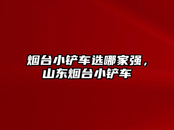 煙臺小鏟車選哪家強，山東煙臺小鏟車