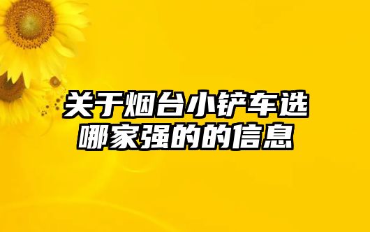 關于煙臺小鏟車選哪家強的的信息