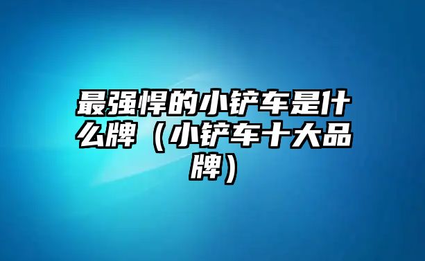 最強悍的小鏟車是什么牌（小鏟車十大品牌）