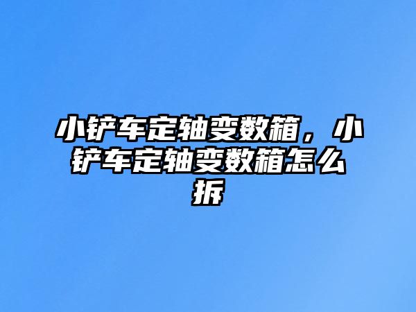 小鏟車定軸變數箱，小鏟車定軸變數箱怎么拆