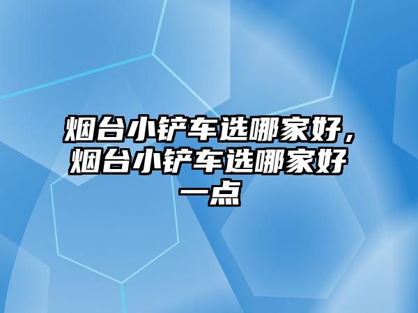 煙臺小鏟車選哪家好，煙臺小鏟車選哪家好一點