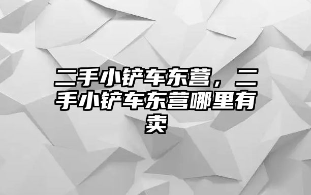 二手小鏟車東營，二手小鏟車東營哪里有賣