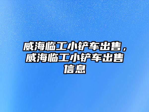 威海臨工小鏟車出售，威海臨工小鏟車出售信息