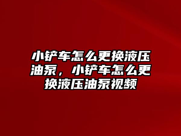 小鏟車怎么更換液壓油泵，小鏟車怎么更換液壓油泵視頻