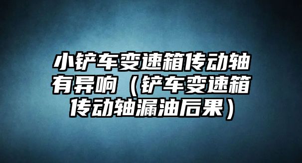 小鏟車變速箱傳動軸有異響（鏟車變速箱傳動軸漏油后果）