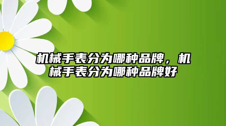 機械手表分為哪種品牌，機械手表分為哪種品牌好