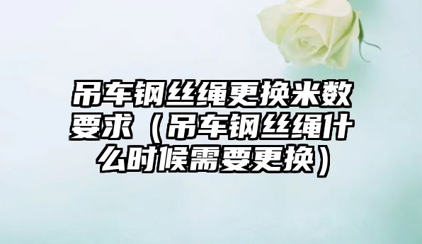 吊車鋼絲繩更換米數要求（吊車鋼絲繩什么時候需要更換）