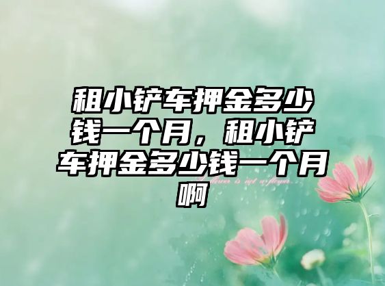 租小鏟車(chē)押金多少錢(qián)一個(gè)月，租小鏟車(chē)押金多少錢(qián)一個(gè)月啊