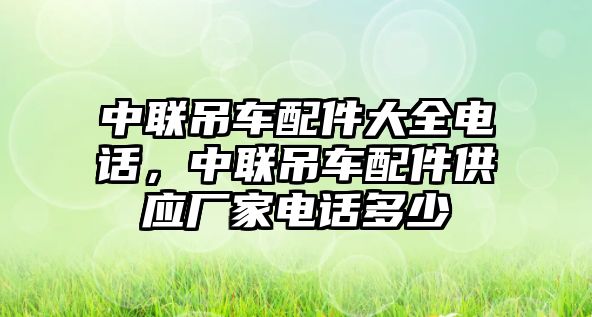 中聯吊車配件大全電話，中聯吊車配件供應廠家電話多少