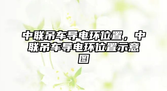 中聯(lián)吊車導(dǎo)電環(huán)位置，中聯(lián)吊車導(dǎo)電環(huán)位置示意圖