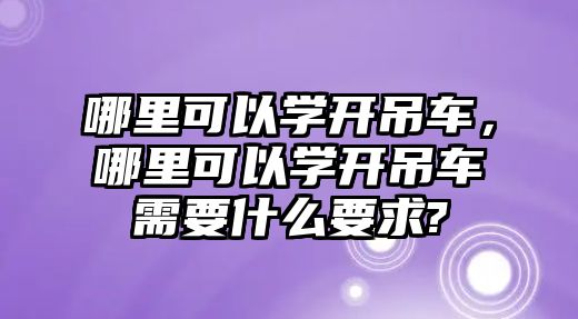 哪里可以學開吊車，哪里可以學開吊車需要什么要求?