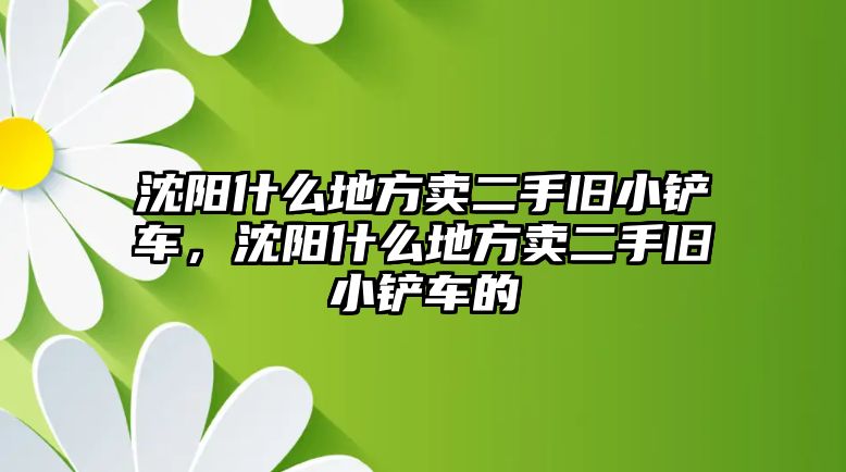 沈陽什么地方賣二手舊小鏟車，沈陽什么地方賣二手舊小鏟車的