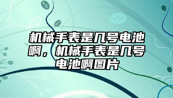 機械手表是幾號電池啊，機械手表是幾號電池啊圖片