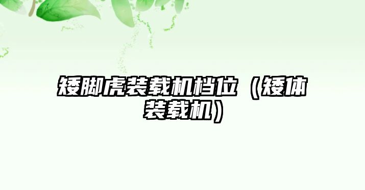 矮腳虎裝載機檔位（矮體裝載機）