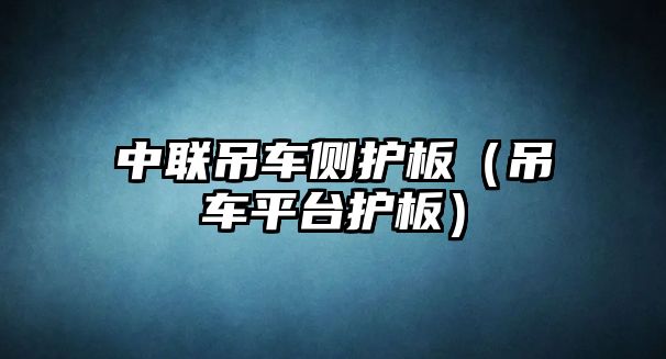 中聯吊車側護板（吊車平臺護板）