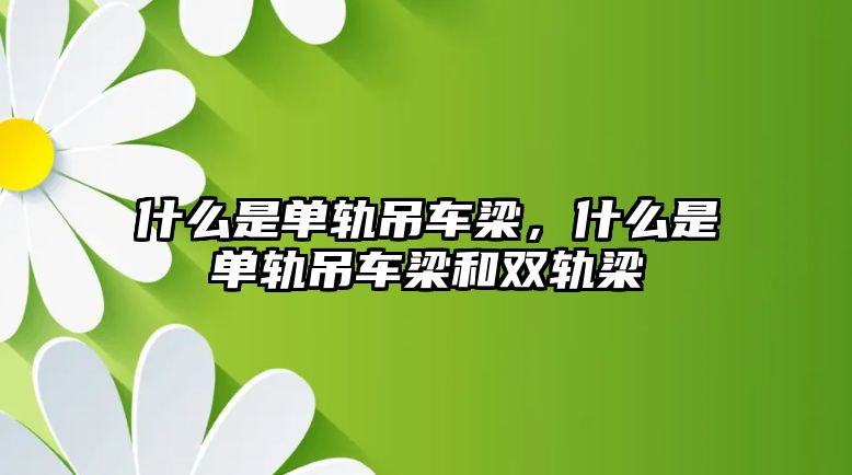 什么是單軌吊車梁，什么是單軌吊車梁和雙軌梁