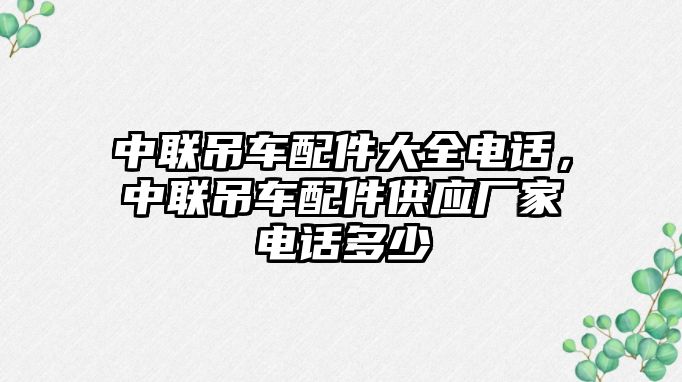 中聯吊車配件大全電話，中聯吊車配件供應廠家電話多少