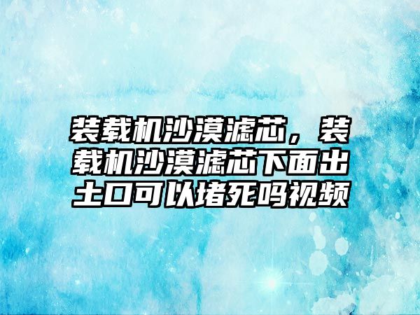 裝載機沙漠濾芯，裝載機沙漠濾芯下面出土口可以堵死嗎視頻