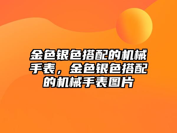 金色銀色搭配的機械手表，金色銀色搭配的機械手表圖片