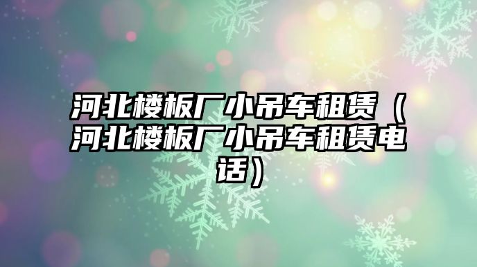 河北樓板廠小吊車租賃（河北樓板廠小吊車租賃電話）