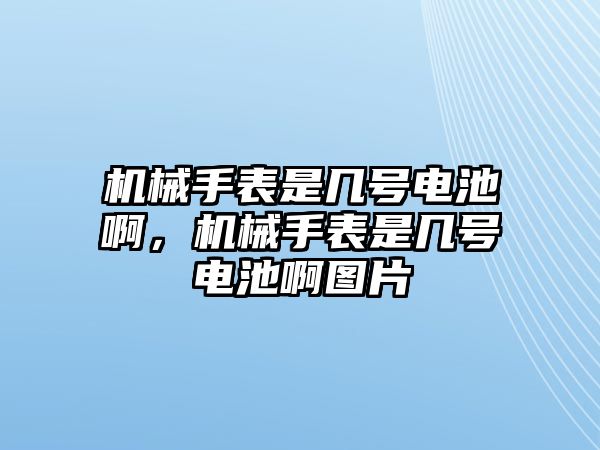 機械手表是幾號電池啊，機械手表是幾號電池啊圖片