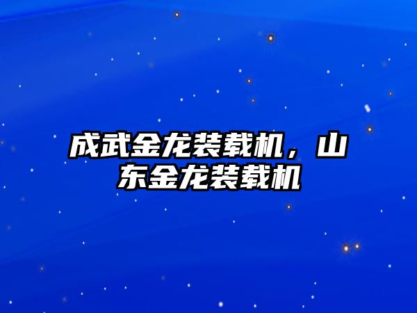 成武金龍裝載機，山東金龍裝載機