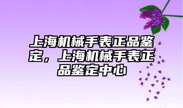 上海機械手表正品鑒定，上海機械手表正品鑒定中心