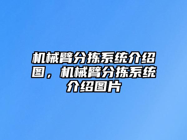 機械臂分揀系統介紹圖，機械臂分揀系統介紹圖片