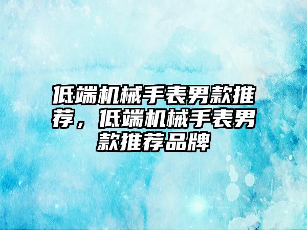 低端機械手表男款推薦，低端機械手表男款推薦品牌