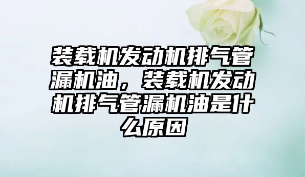 裝載機發動機排氣管漏機油，裝載機發動機排氣管漏機油是什么原因